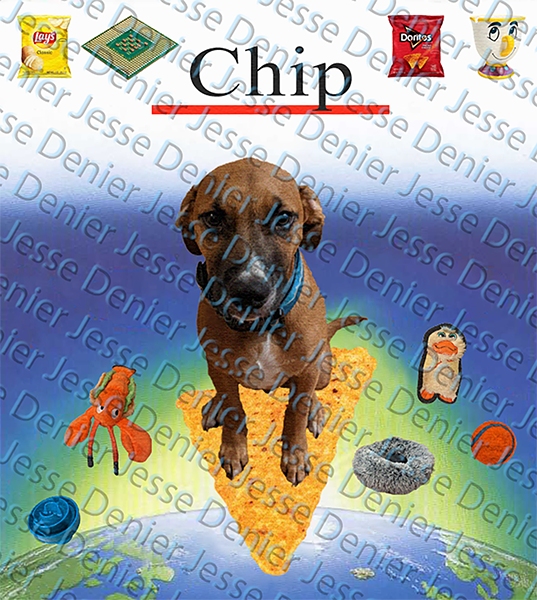 90s inspired dog riding a chip